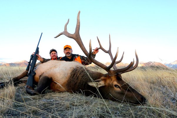 Can the 6.5 Creedmoor be used for elk hunting